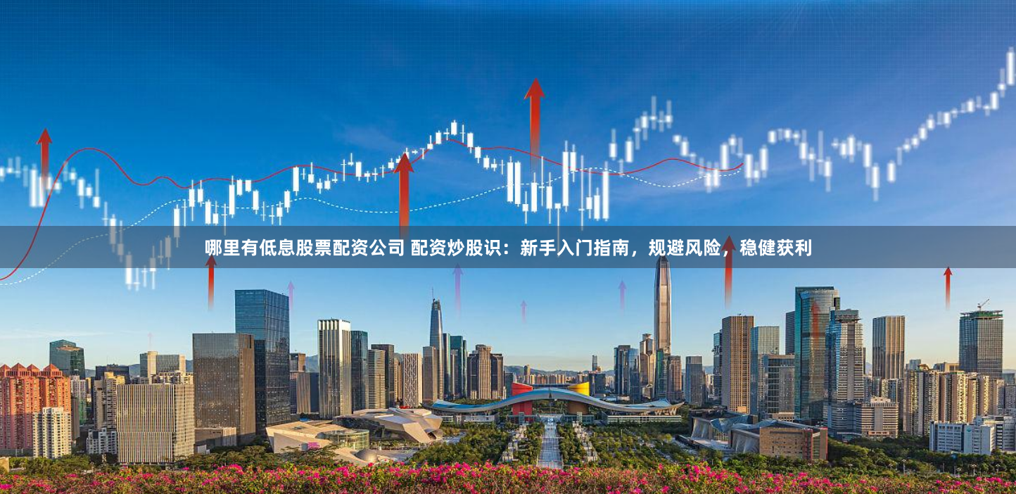 哪里有低息股票配资公司 配资炒股识：新手入门指南，规避风险，稳健获利