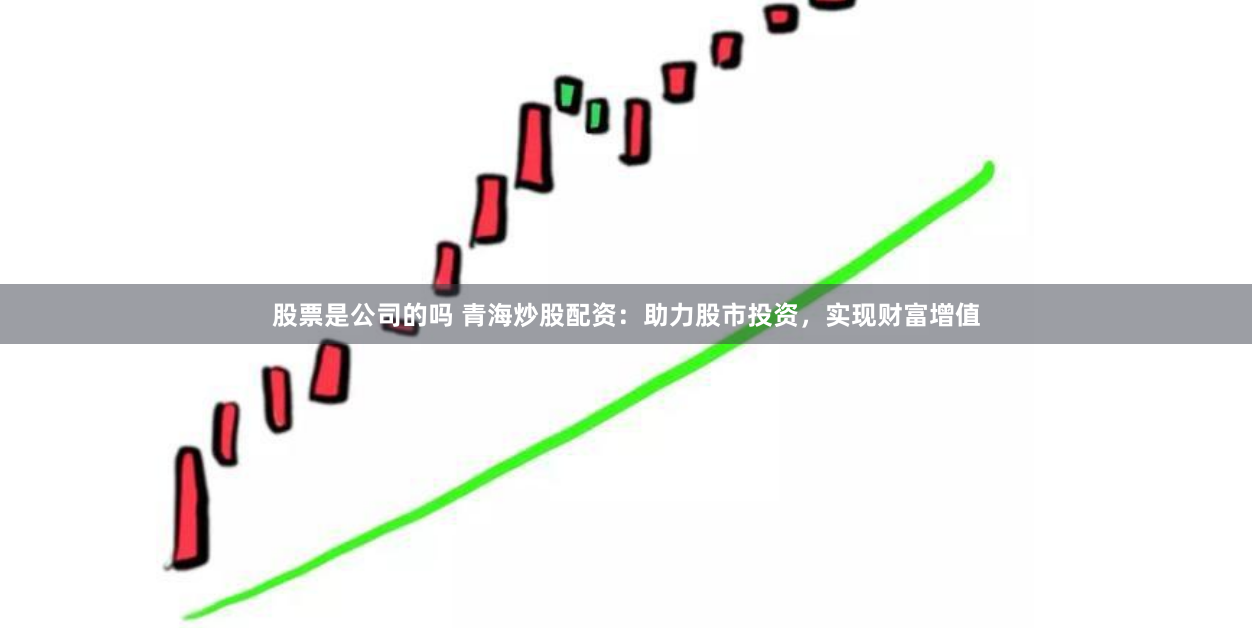 股票是公司的吗 青海炒股配资：助力股市投资，实现财富增值